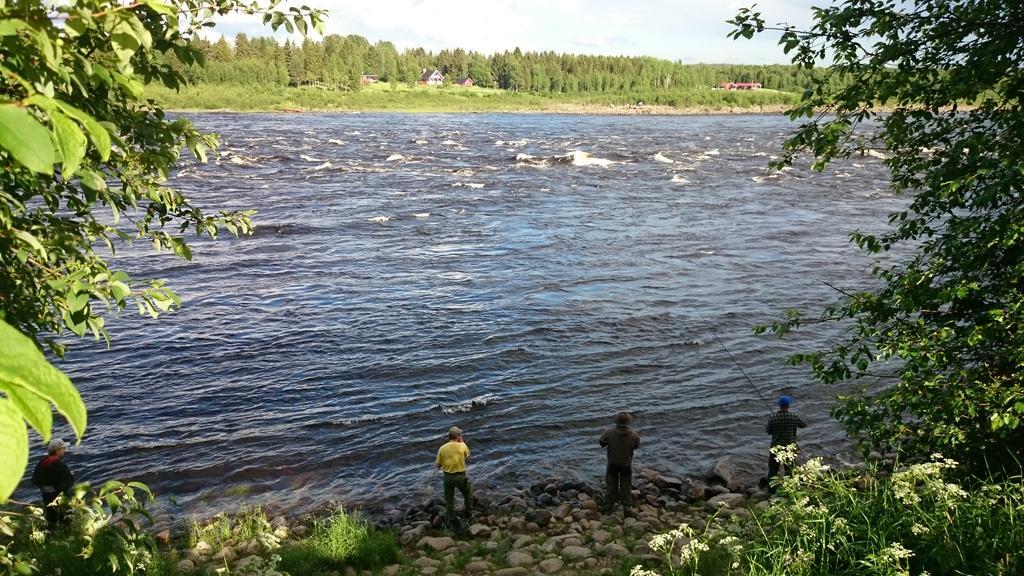 Vila Nivagarden Korpikylä Exteriér fotografie