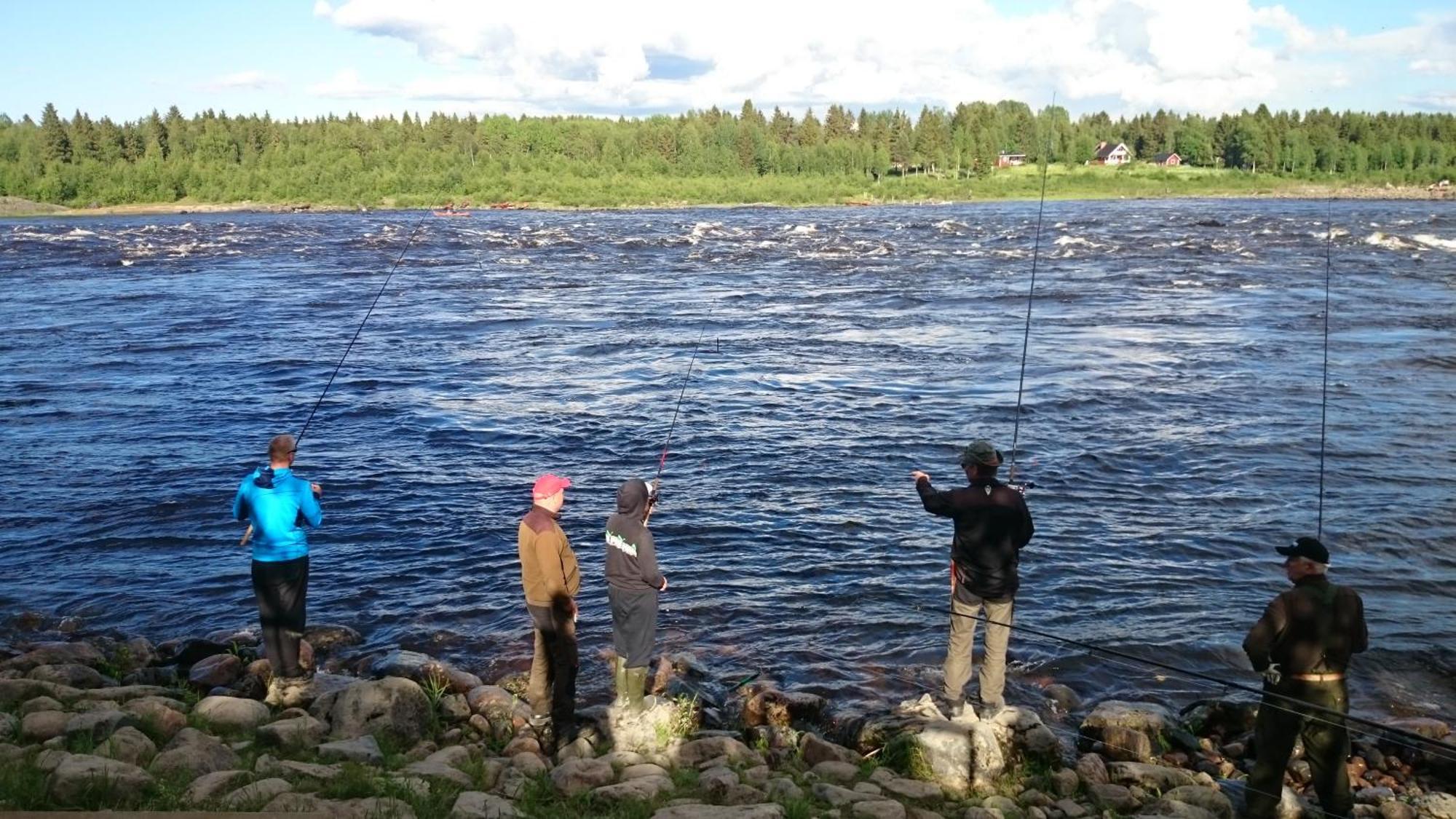 Vila Nivagarden Korpikylä Exteriér fotografie