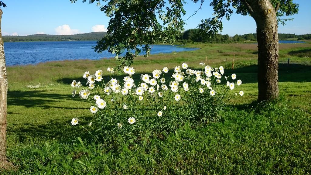Vila Nivagarden Korpikylä Exteriér fotografie