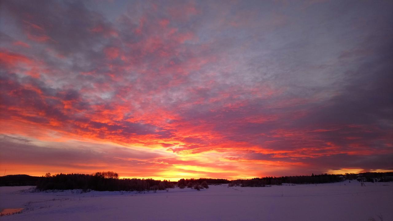 Vila Nivagarden Korpikylä Exteriér fotografie